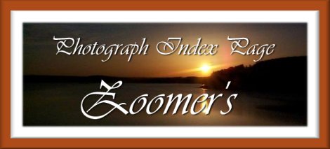 Photographs by Zoomer Index Page Banner