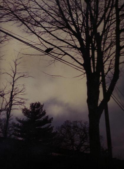 Photograph titled Stormy Day